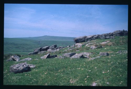 An image from the Dartmoor Trust Archive