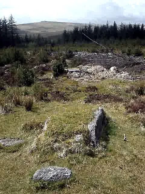 An image from the Dartmoor Trust Archive