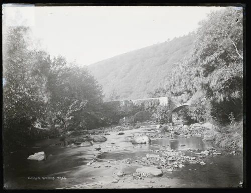 Fingle Bridge