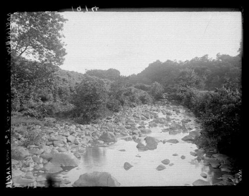 River Tavy from the Peter Tavy clam.