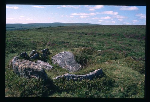 An image from the Dartmoor Trust Archive