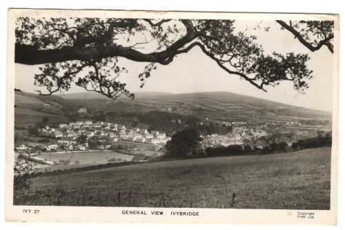 General View Ivybridge