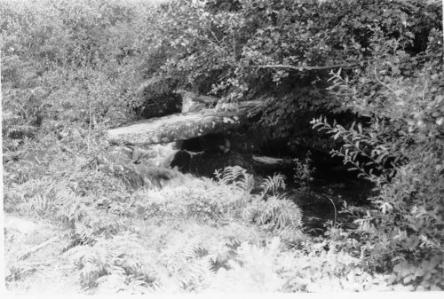 An image from the Dartmoor Trust Archive