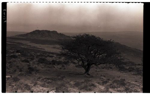 Leather Tor from Peek Hill