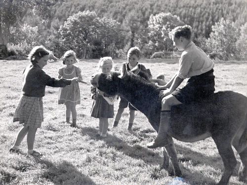 An image from the Dartmoor Trust Archive