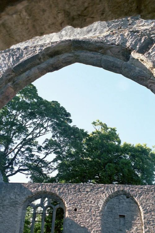 An image from the Dartmoor Trust Archive