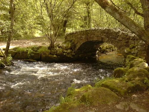 An image from the Dartmoor Trust Archive