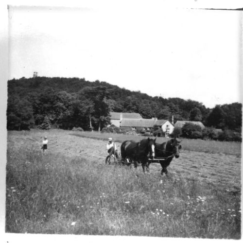 Haycutting near Water