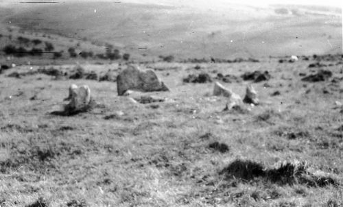 An image from the Dartmoor Trust Archive