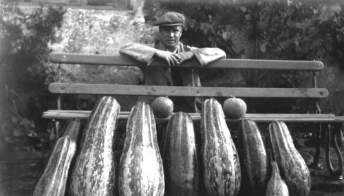 Gentleman and his vegetables