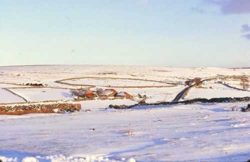 An image from the Dartmoor Trust Archive