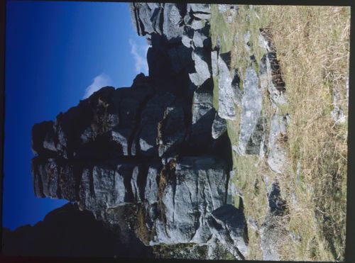 An image from the Dartmoor Trust Archive