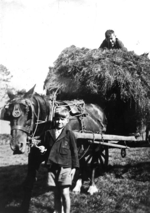 Norman Perryman and Frank Howe bringing in hay