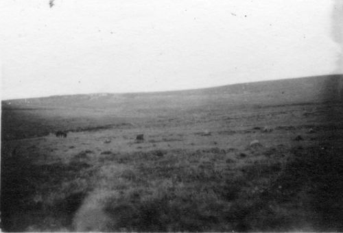 An image from the Dartmoor Trust Archive