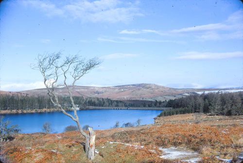 Paignton reservoir