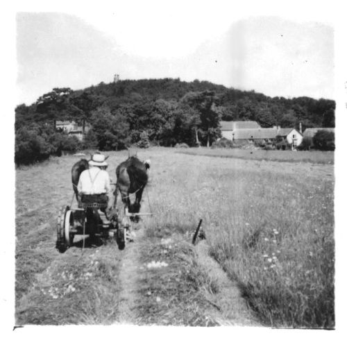 Haycutting near Water