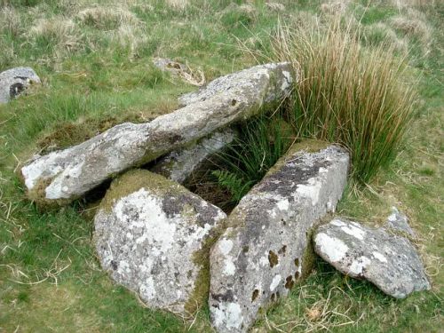 An image from the Dartmoor Trust Archive