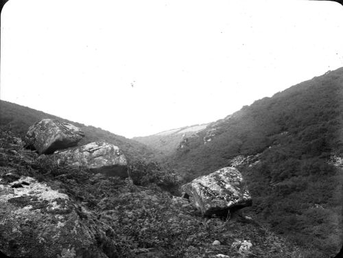 An image from the Dartmoor Trust Archive