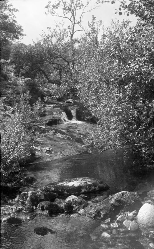 An image from the Dartmoor Trust Archive