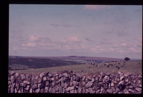 An image from the Dartmoor Trust Archive