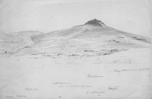 Jones 310 Haytor and Rippon Tor.tif