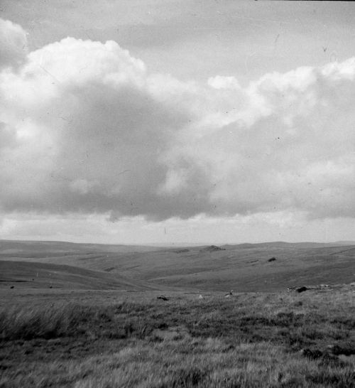 An image from the Dartmoor Trust Archive