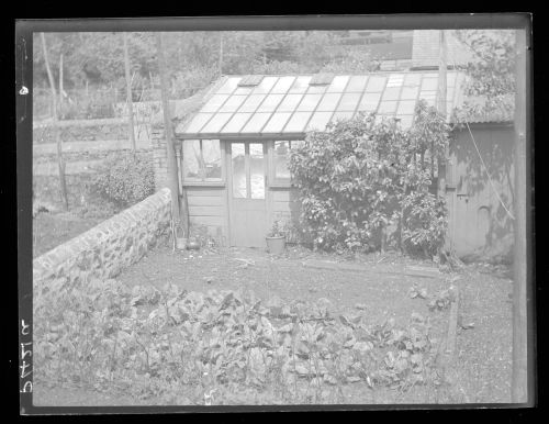 Vegetable patch, South Brent