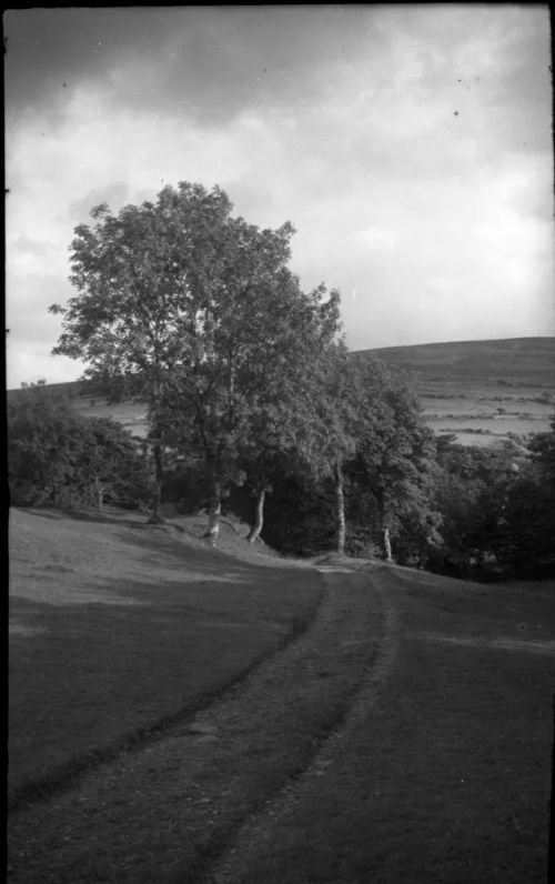 An image from the Dartmoor Trust Archive