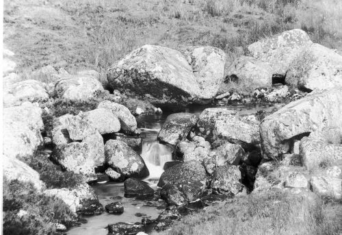 An image from the Dartmoor Trust Archive