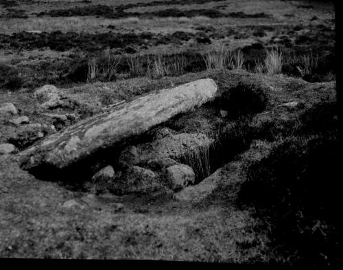 Calveslake kist in the Plym valley