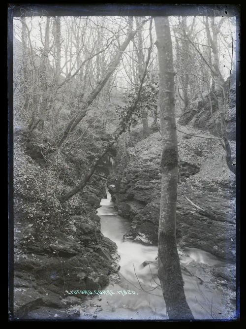 Lydford Gorge, Lydford