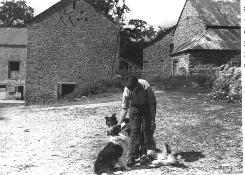 Mrs Elizabeth French in the yard at Great Hound Tor Farm