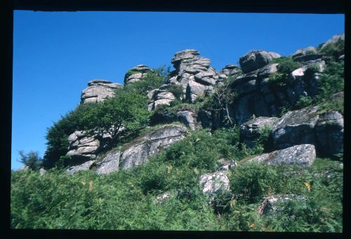 An image from the Dartmoor Trust Archive